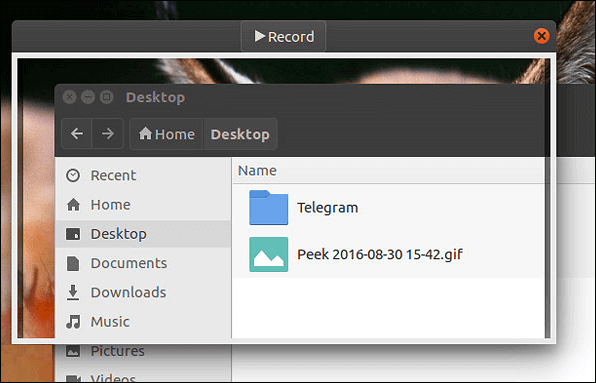 Peek Bildschirmrekorder