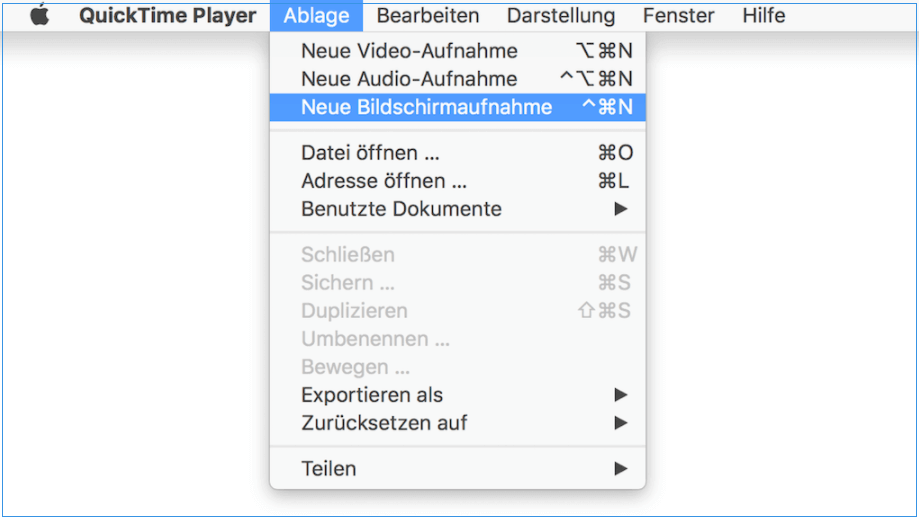 Facecam Aufnehmen mit Quick Time -1
