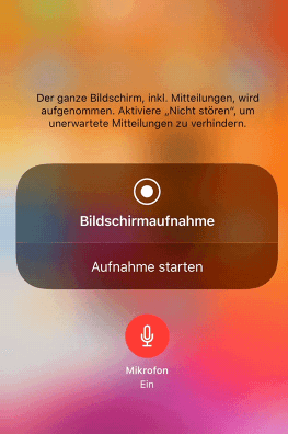 Online-Kurse aufzeichnen - iPhone Bildschirmaufnahme