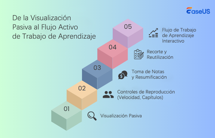 patrones de comportamiento de la audiencia