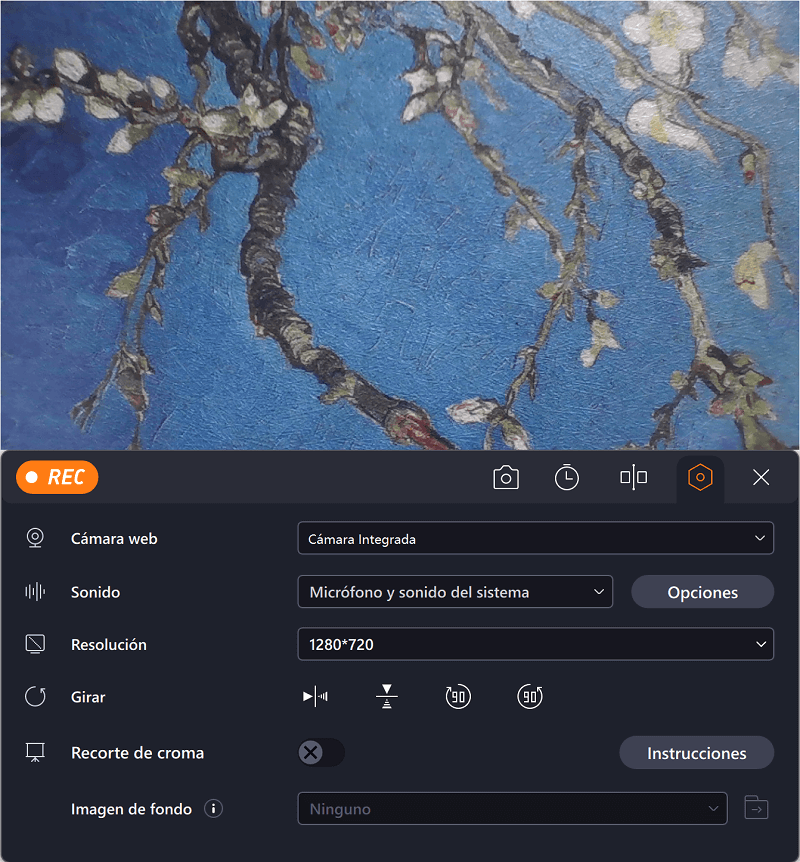 grabar la cámara web