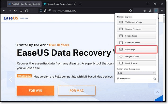 choose entire page option