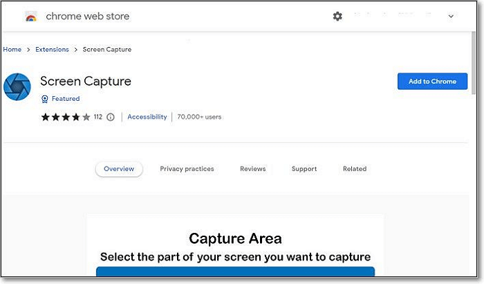 add screen capture extension