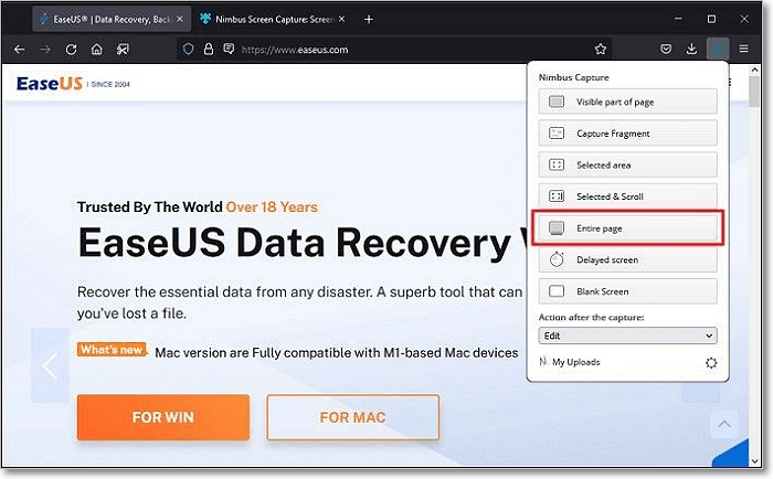 select the entire page option