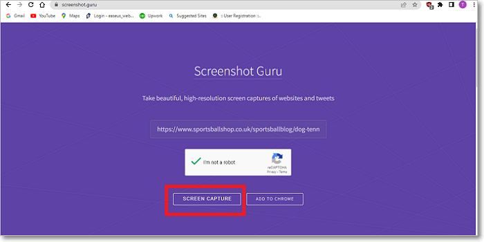 screen capture button