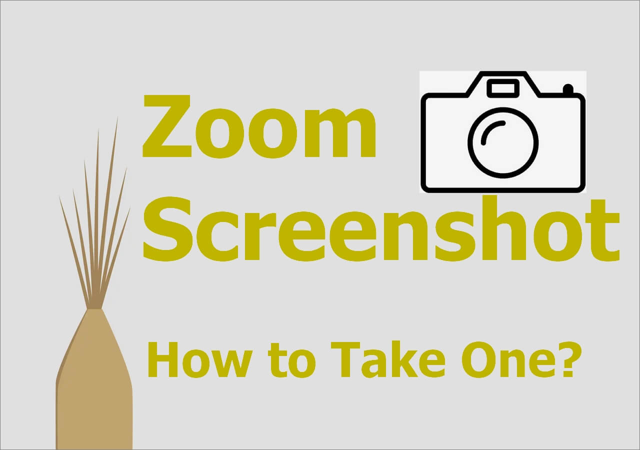 How to Take a Zoom Screenshot in 2024 5 Ways EaseUS