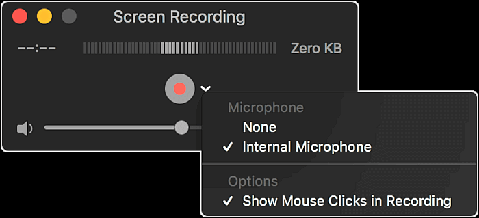 quicktime screen and audio recorder