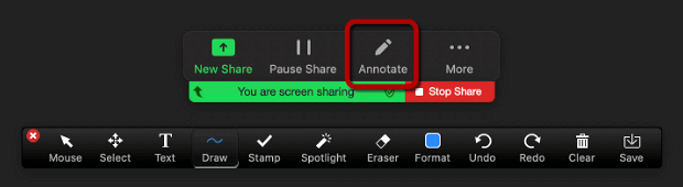 annotate in zoom