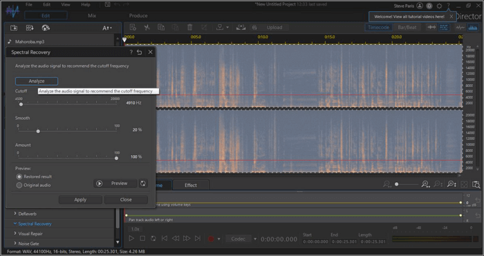 Director de audio 365