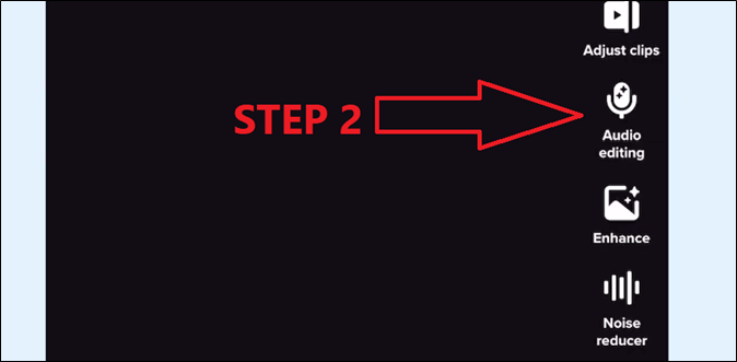 audio editing option