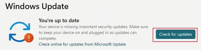 check for update win11