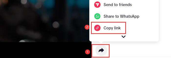 copiar link do vídeo do tiktok