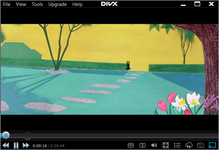 DivX Player