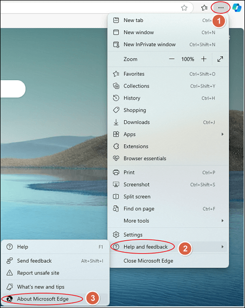 Edge-Suche nach Updates