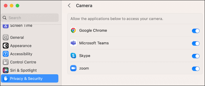 Bildschirmfreigabeberechtigung für Zoom erteilen