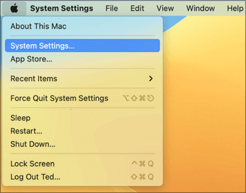 Gehen Sie zu den Systemeinstellungen auf dem Mac