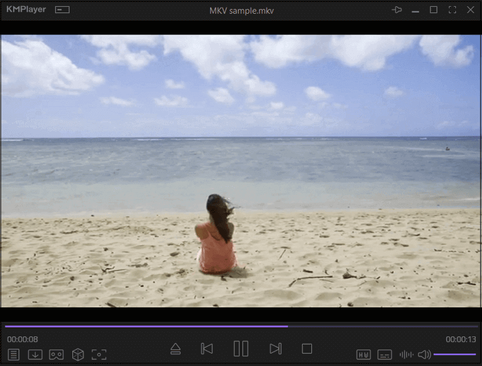 Best Video Player for Windows 8 – Play HD/UHD/SD Videos Freely