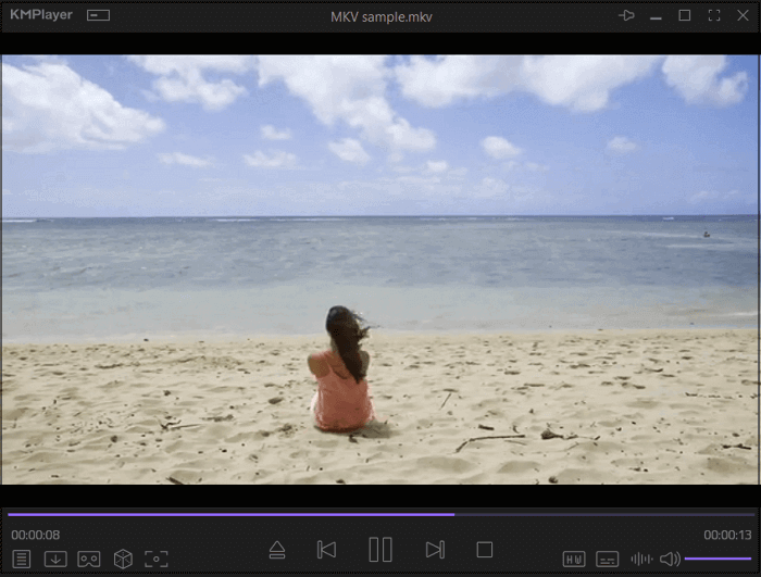 Best video player on sale for windows 10