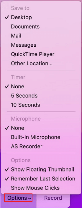 Mac-Screenshot-Verknüpfungsoptionen