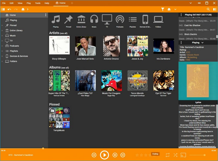 mediamonkey-music-player