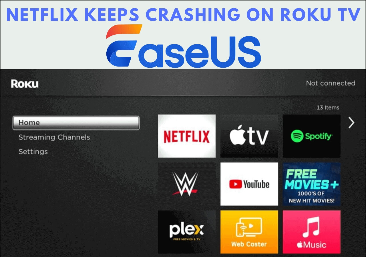 Netflix Keeps Crashing on Roku TV [Reasons and Fixes!]