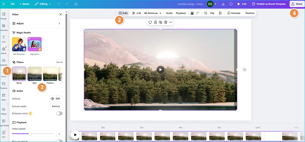online recorder with filters