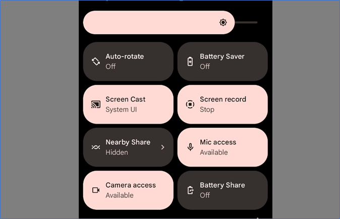 Detener la grabación