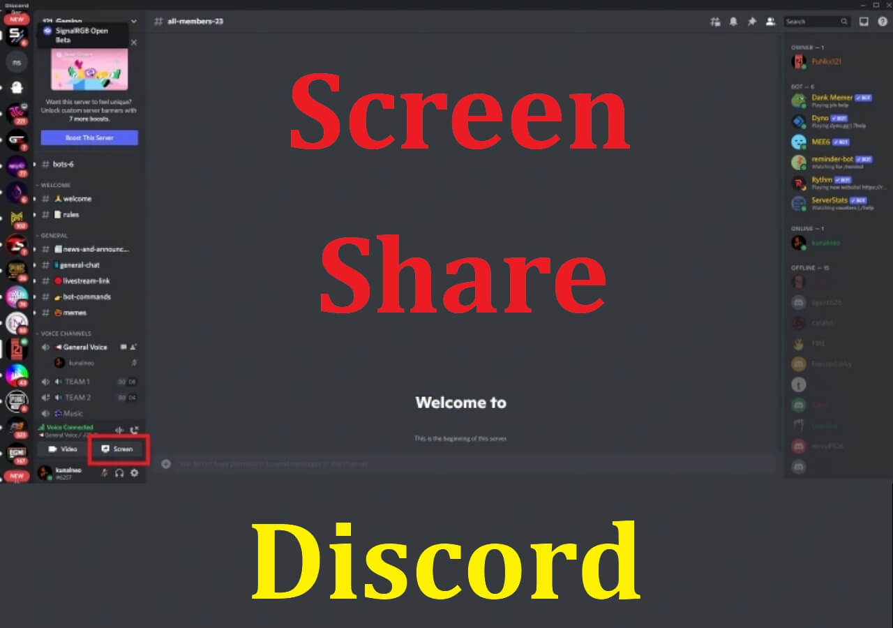 How To Screen Share On Discord