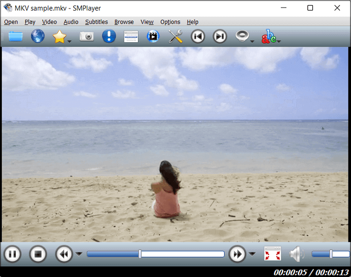All Video Format Play - No Conversion Needed - Best Free Video Player