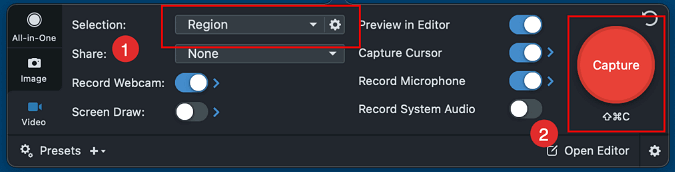 snagit select region click capture