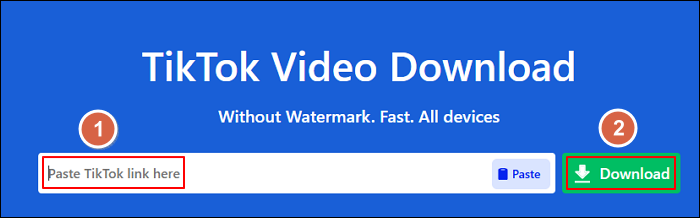 snaptik online video downloader 1