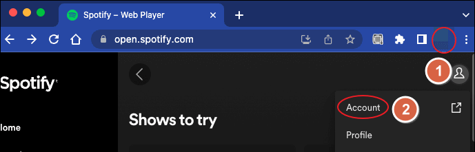 Spotify Web Player-Konto