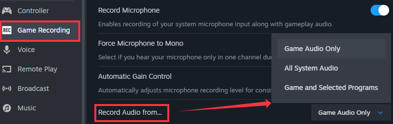 steam recording source