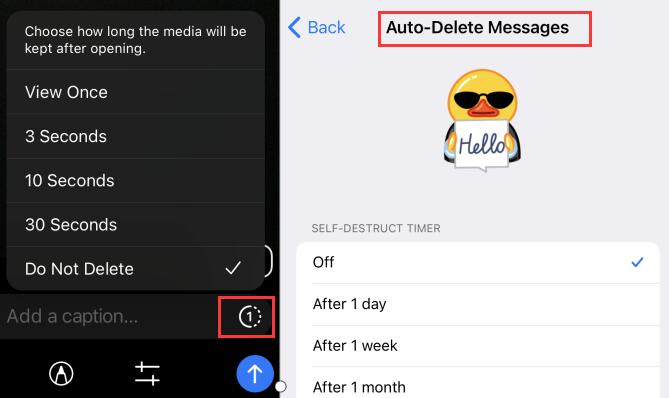 telegram auto delete messages
