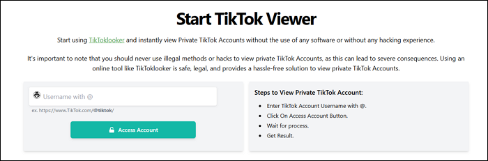 tiktoklooker-interface.png