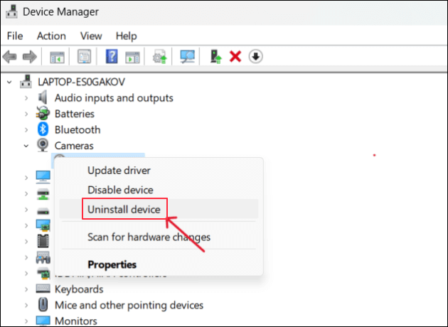 Logitech Webcam-Treiber deinstallieren