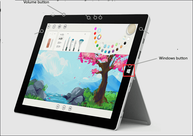 overvåge Konsulat Land How to Take Screenshot on Surface Pro 3/4 Easily - EaseUS
