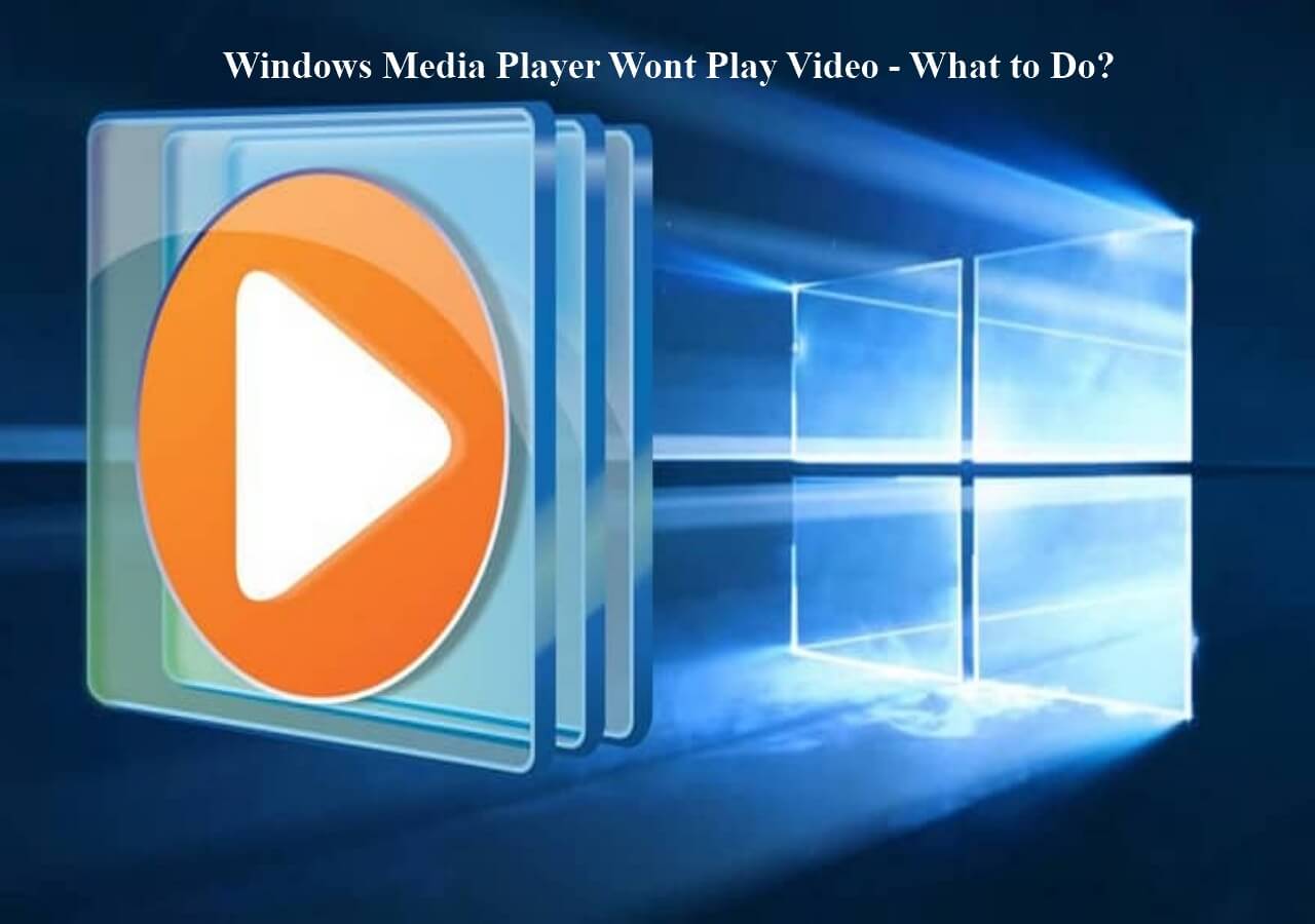 windows media player won t rip cd