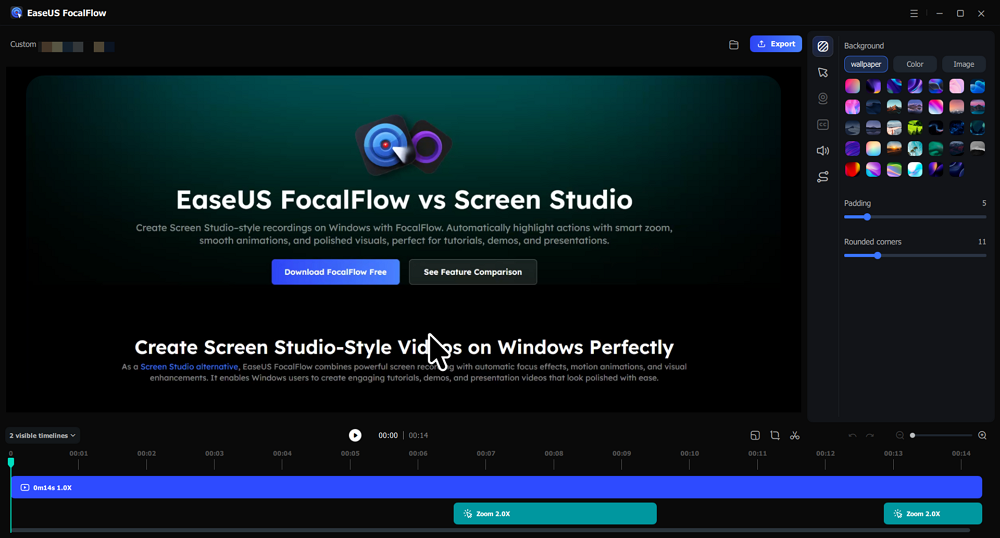 easeus focalflow editor