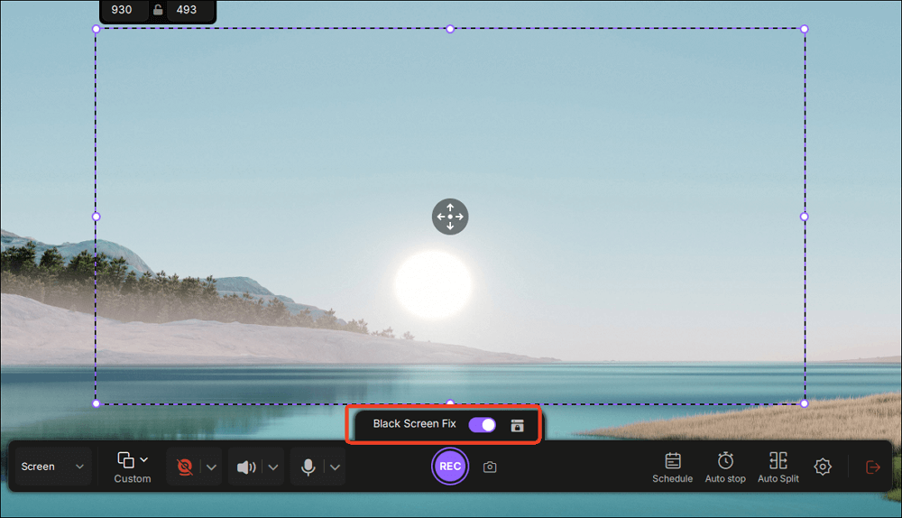 Enable black screen fix feature