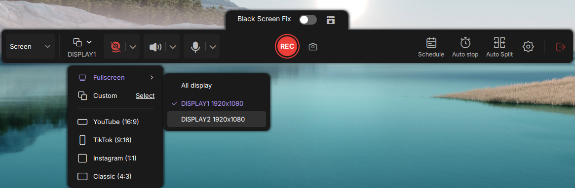 screenshot one monitor