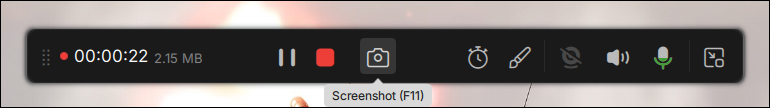 screenshot screen while recording