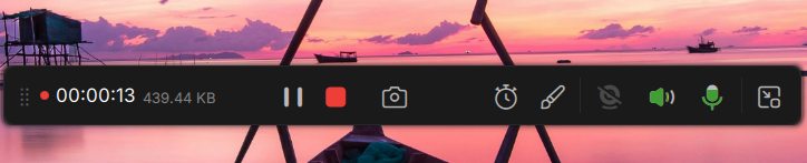 stop recording