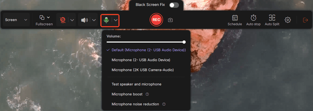 toggle on microphone