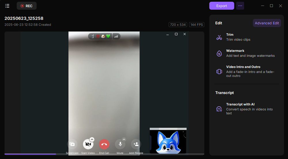 view video call recording