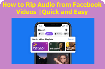 rip audio from facebook video