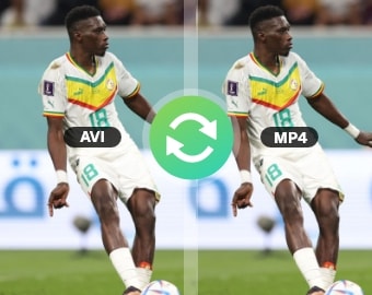 EaseUS Video Converter