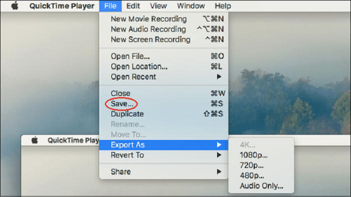 Salva le registrazioni con QuickTime