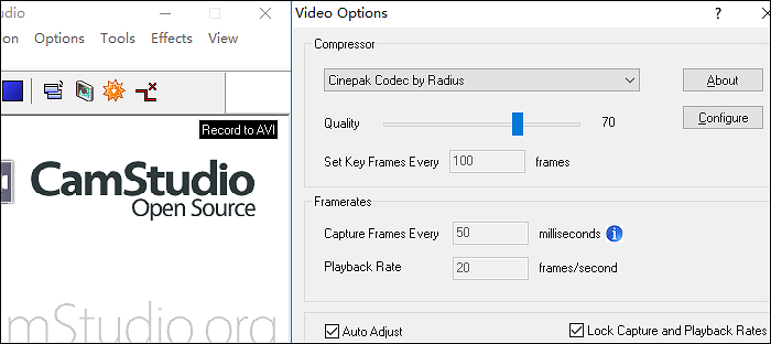 opzioni video per camstudio