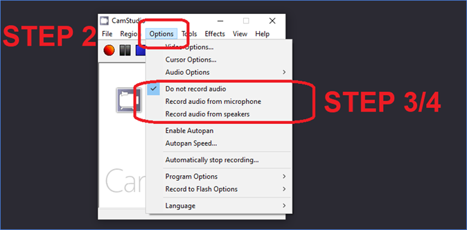 マイクからのオーディオ録音を有効にする